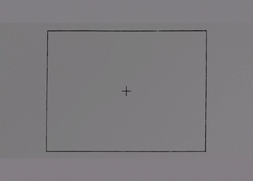 VIEWFINDER OVERLAYS